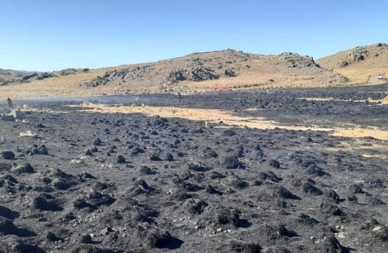 En los últimos incendios, el fuego arrasó cerca de 14.000 hectáreas