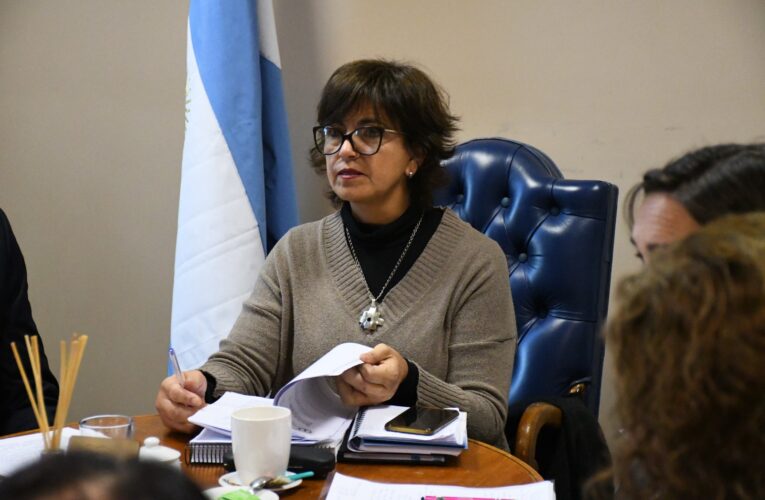“Luego de perder las elecciones, Rodríguez Saá comenzó a aumentar tremendamente el gasto público”
