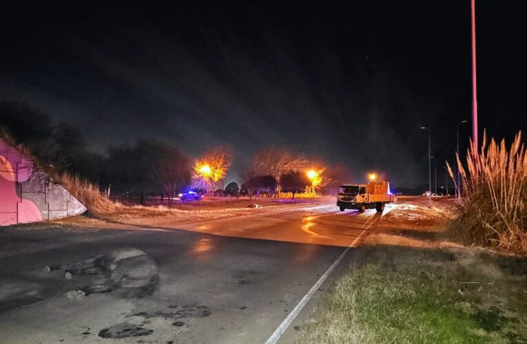 Un camión embistió a dos caballos en la Autopista de las Serranías Puntanas