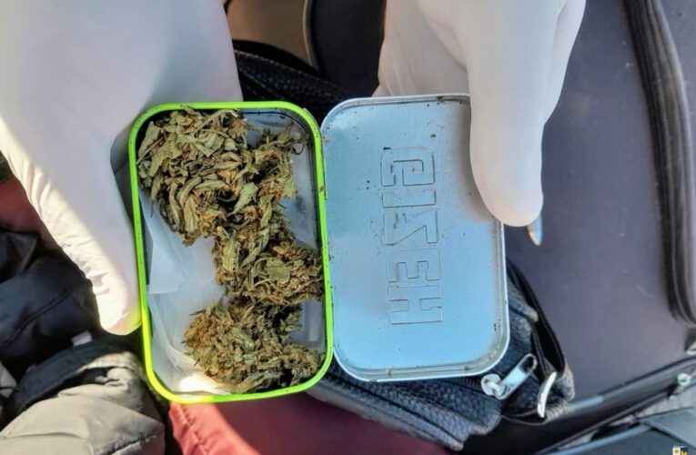 La Policía incautó droga en San Luis y Nueva Galia
