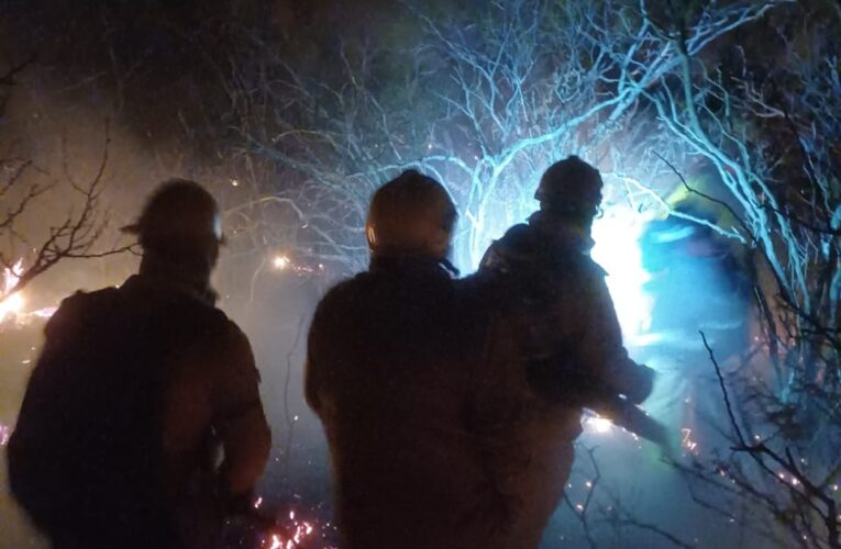 Incendio forestal en el norte puntano