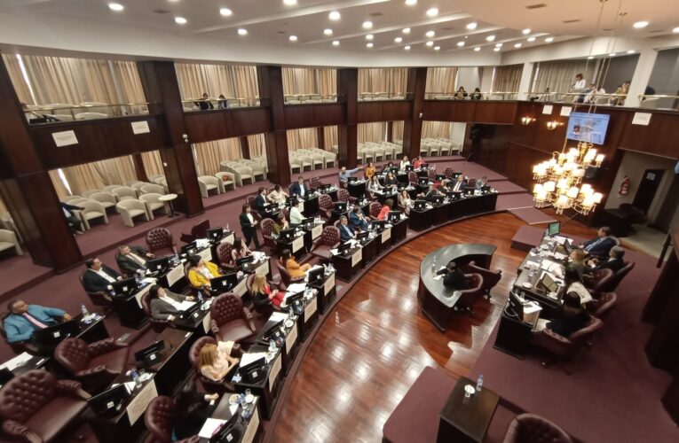 Diputados: El oficialismo rechazo diversos proyectos referidos a la situación de la Salud en la Provincia