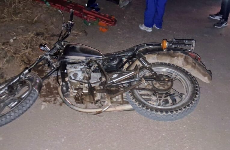 Quines: una mujer se accidentó en moto tras embestir a un equino