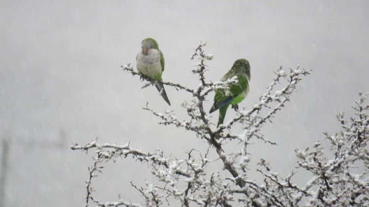 El frío no da tregua y se esperan nevadas en la zona serrana