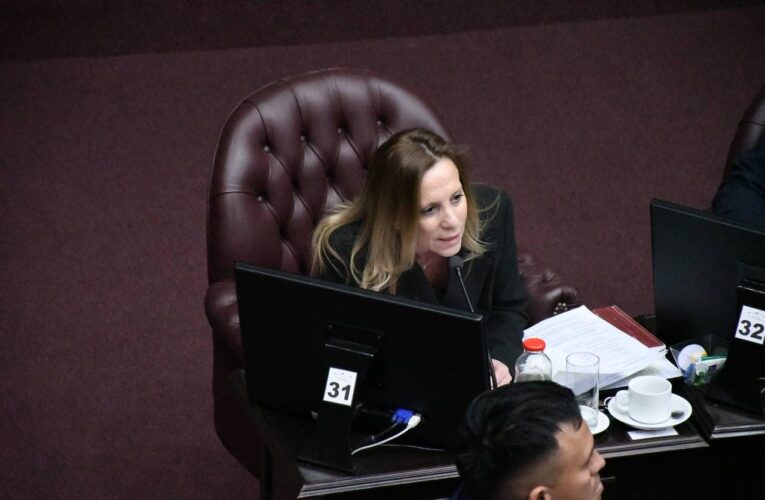 Sosa Araujo: «Queremos saber, si la plata está, ¿por qué no hay un aumento, por qué no comienza de una vez por todas la obra pública?»