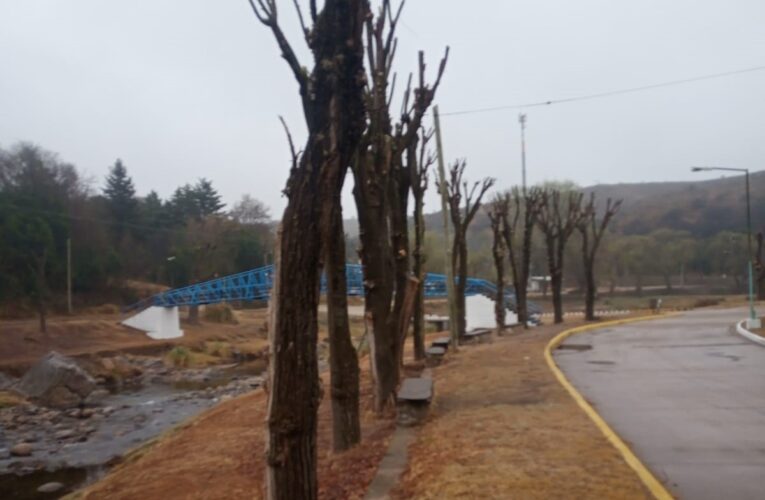 Ambiente constató la tala prohibida de árboles a la vera del río Las Águilas