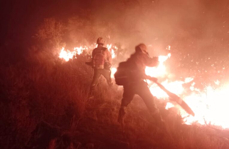 Controlaron un incendio forestal en el norte provincial