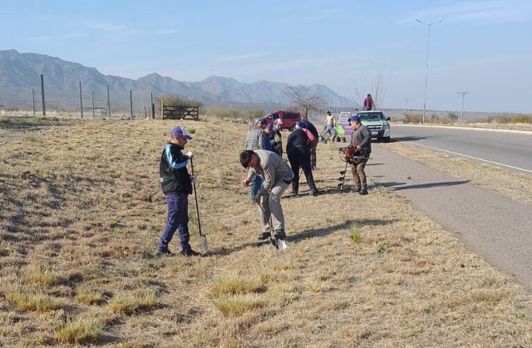 Avanza la forestación en la autopista 25 de Mayo