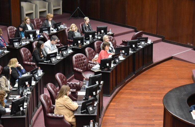 Media sanción para la reincorporación de San Luis al Consejo Vial Federal