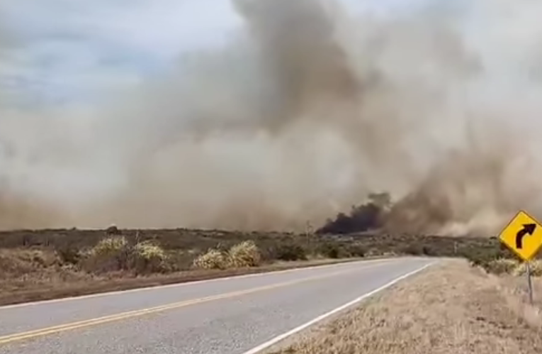Las Lagunas: Intentan combatir un incendio forestal que está fuera de control