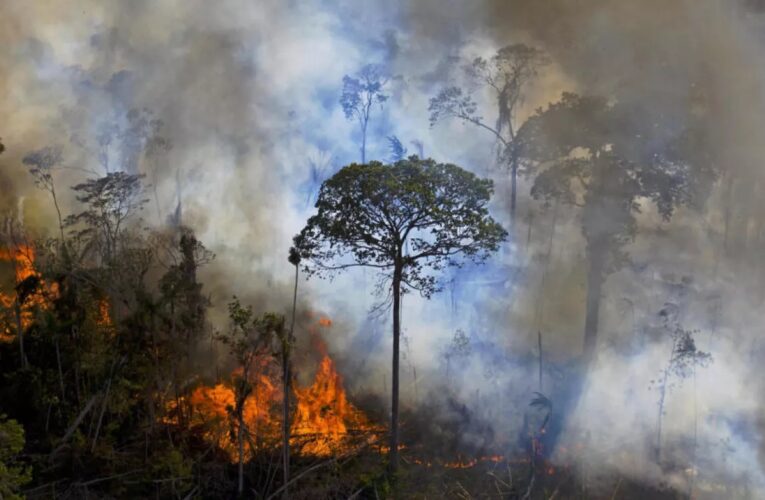 Advierten que el humo de los incendios forestales en Brasil y Bolivia llegaría a la provincia