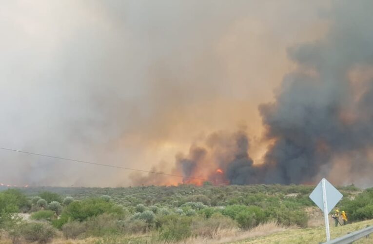 Hay incendios forestales en distintos puntos de la provincia