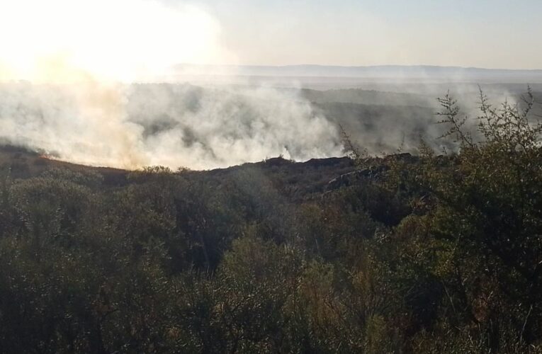 Combaten incendios en La Vertiente y Paso Grande