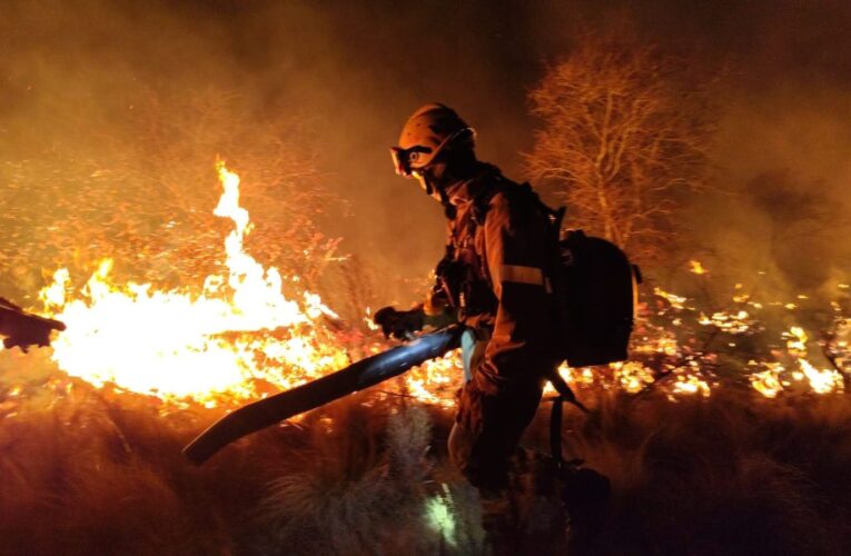 Alertan por un alto riesgo de incendios forestales en San Luis