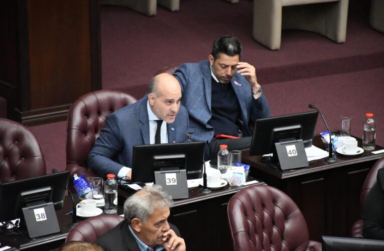 Media sanción para el Proyecto de Ley de «Régimen de Promoción e Incentivo para la Producción, Industrialización y el Comercio Vitivinícola»