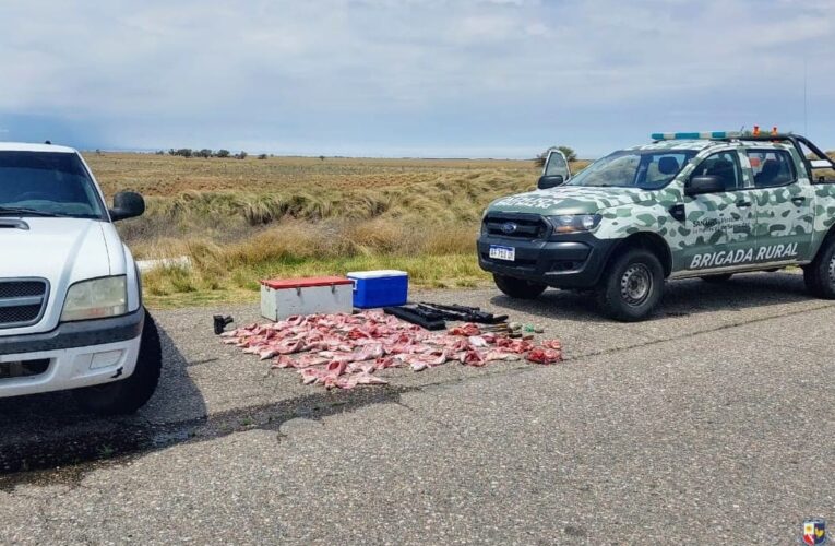 La Policía sorprendió a dos cazadores furtivos que tenían 29 ejemplares de vizcachas faenadas