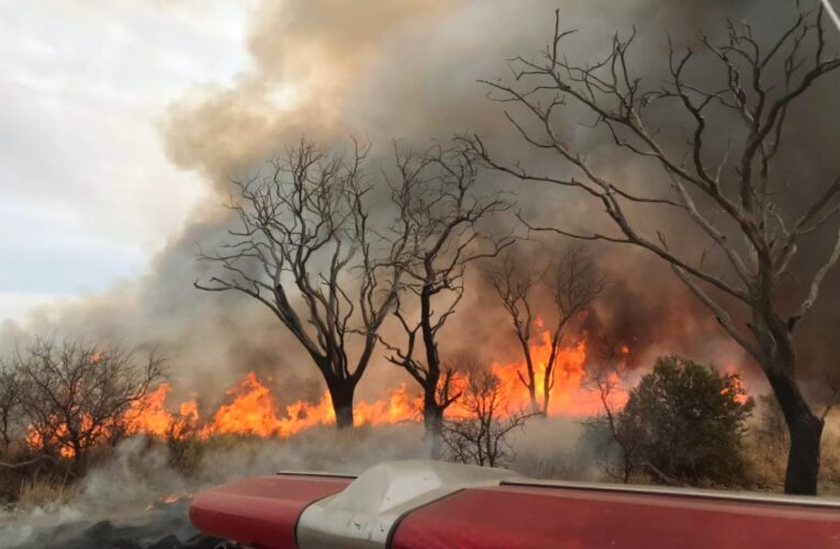 Imputaron a un hombre por un incendio forestal que afectó 1,5 hectáreas en Cortaderas