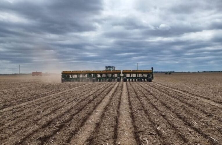 Terminó la siembra de girasol en San Luis y la de soja ya cubrió el 50% de la superficie proyectada