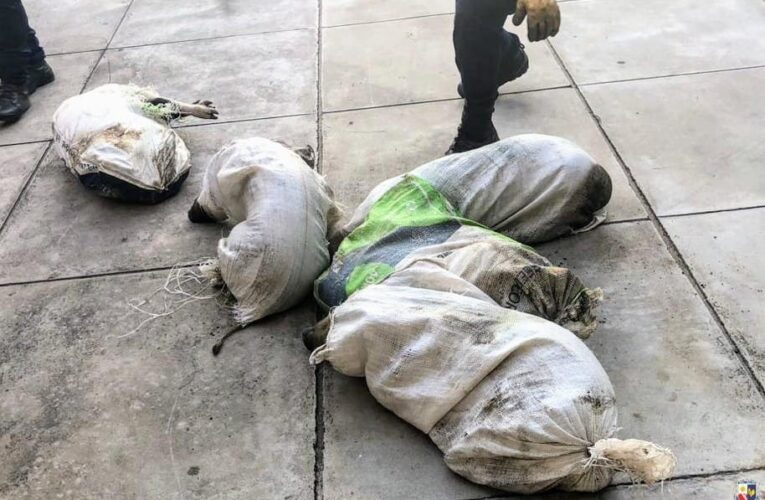 Villa Mercedes: la Policía recuperó un tractor y animales porcinos que habían sido sustraídos de un establecimiento de Juan Jorba