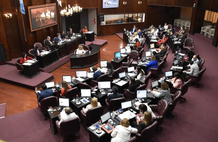 San Luis tendrá un Consejo Provincial de Personas con Discapacidad