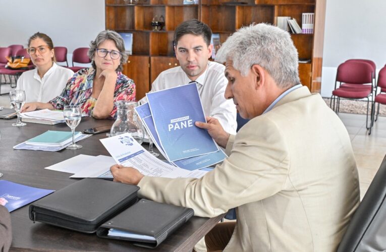 El Programa Alimentario Nutricional continuará durante el receso escolar