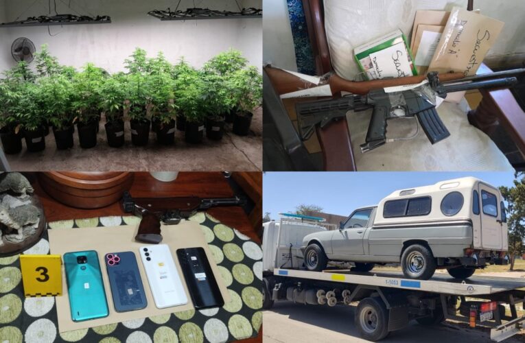 La Policía desmanteló en Estancia Grande una gran plantación de marihuana