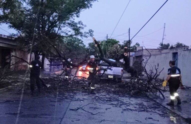 Una fuerte tormenta eléctrica generó destrozos en distintos puntos de la Provincia