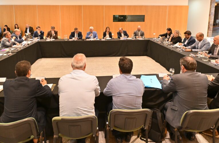 Poggi coordinó la reunión de Gabinete en el comienzo de la semana