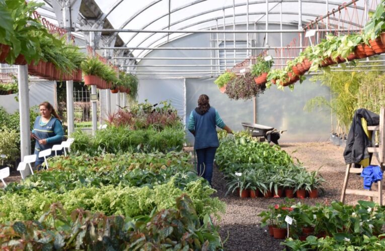 Se realizará una nueva Expo Improfop de emprendedores y productores