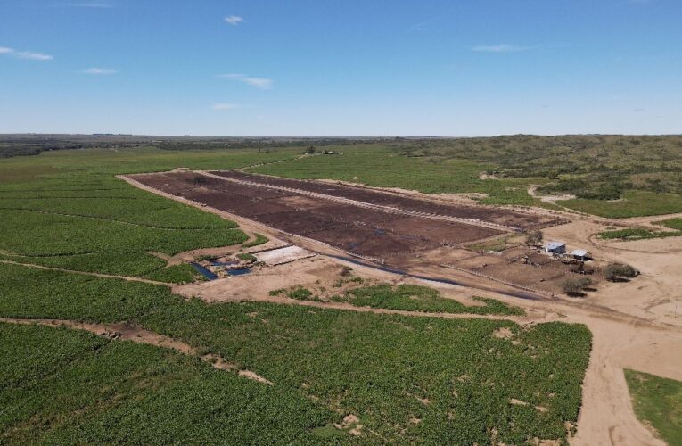 El feedlot ‘La Nely’ llevó a cabo tareas de saneamiento en su pasivo ambiental