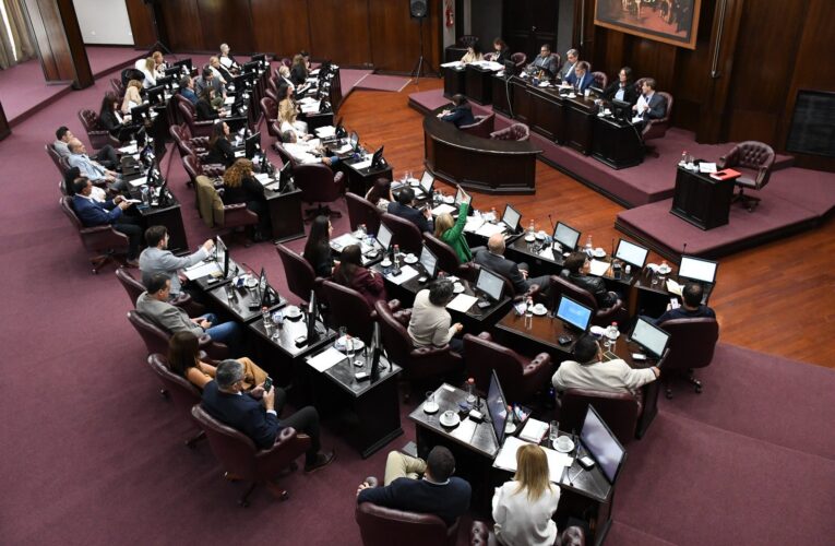 Cómo quedaron conformados los bloques en el inicio de sesiones de la Cámara de Diputados de San Luis