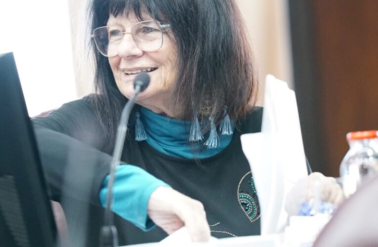 La diputada Blumencweig celebró la implementación del Boleto Educativo Interurbano Gratuito