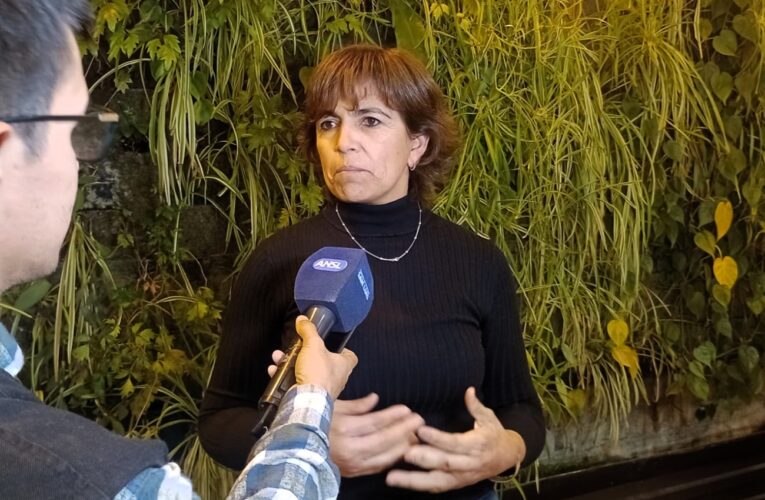 PANE: Los padres podrán optar si sus hijos almuerzan o no en la escuela