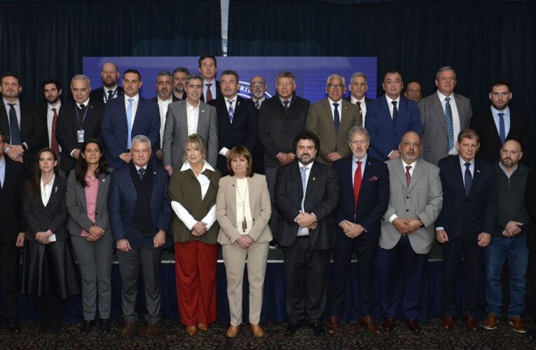 San Luis presente en una nueva sesión del Consejo de Seguridad Interior