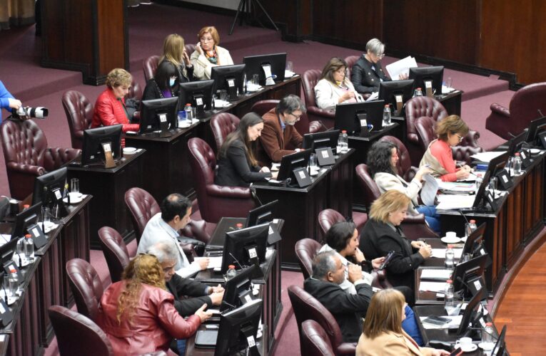Dieron media sanción al proyecto de ley para prorrogar la emergencia económica