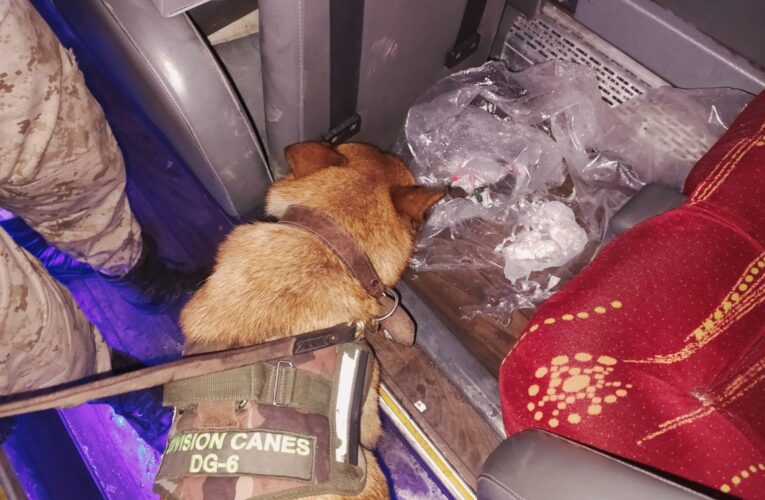 Incautaron droga en un colectivo que transportaba hinchas de Independiente Rivadavia de Mendoza