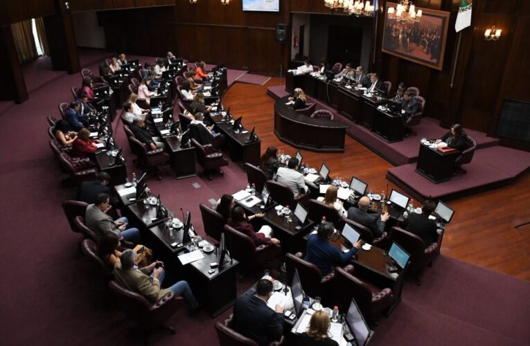 Diputada Spinuzza contra el oficialismo por frenar sus proyectos sobre protección a niños ante la ludopatía digital: “hay ausencia absoluta” y “complicidad”