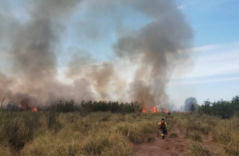 Labraron una infracción por quema de malezas no autorizada