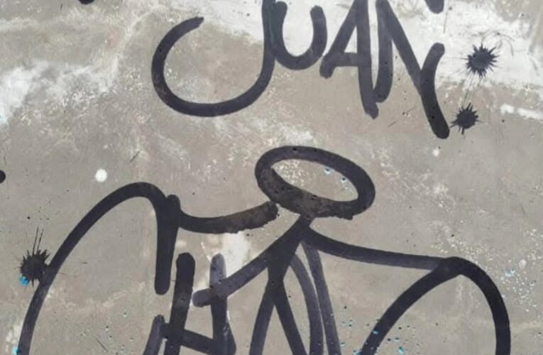 Turistas vandalizaron el dique Luján y la Policía identificó a los posibles responsables