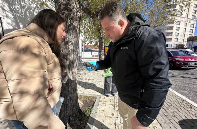 Ambiente realizó una constatación por aves muertas en la ciudad de San Luis