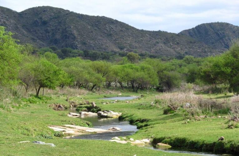 Realizarán el primer encuentro de ‘Saber y vivencias’ en el Parque Provincial Bajo de Véliz