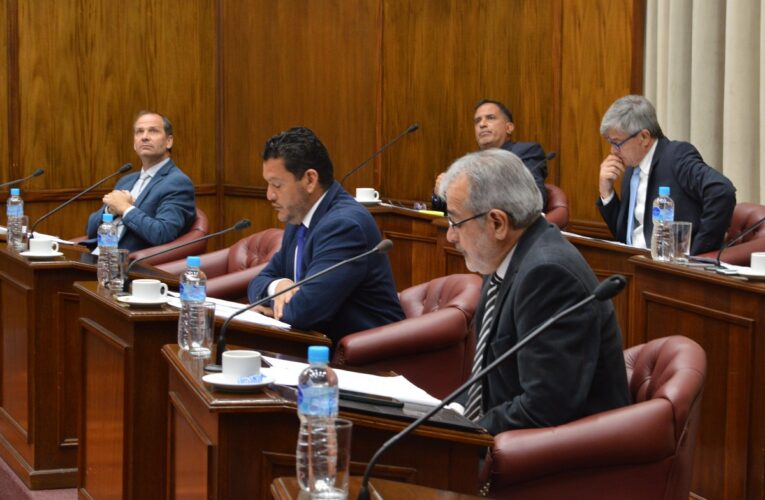 El proyecto de ley para la disposición de vehículos tiene media sanción del Senado