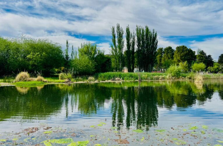 Para este viernes se espera una jornada con tintes veraniegos y una máxima de 34°C