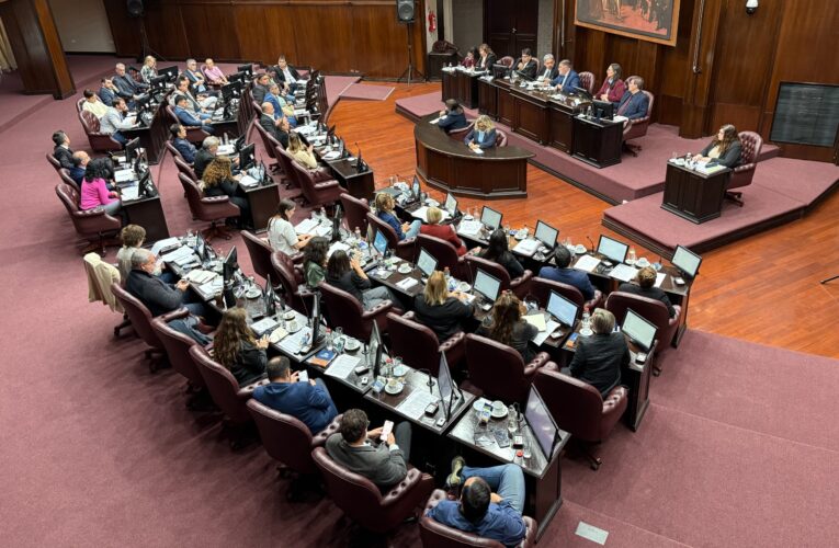 Diputados dio media sanción a la modificación de la Ley de Amparo