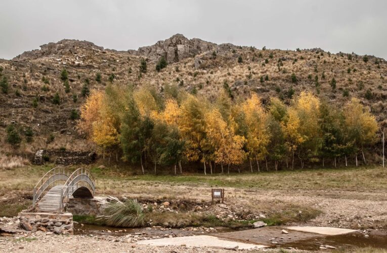 La semana comienza con heladas generalizadas y una fría sensación térmica