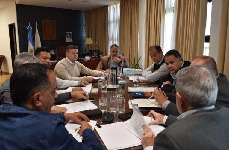 En la Legislatura provincial continúan analizando el proyecto de reforma parcial de la Constitución Provincial