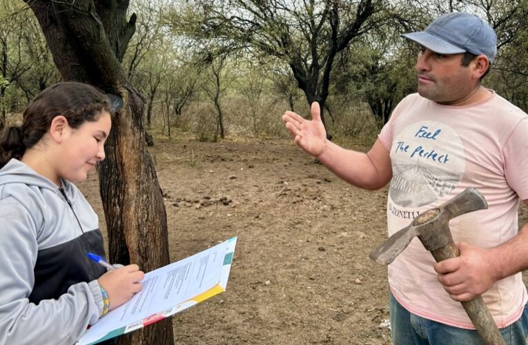 Alumnos de una escuela rural rescatan y estudian abejas nativas