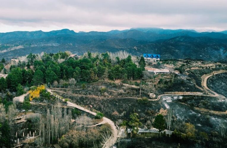 El fuego expone el abandono: Vecinos de Estancia Grande exigen control urgente sobre lotes «sucios»