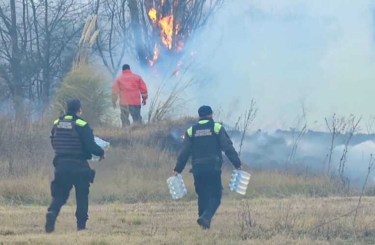 El fuego expone el abandono: Vecinos de Estancia Grande exigen control urgente sobre lotes «sucios»