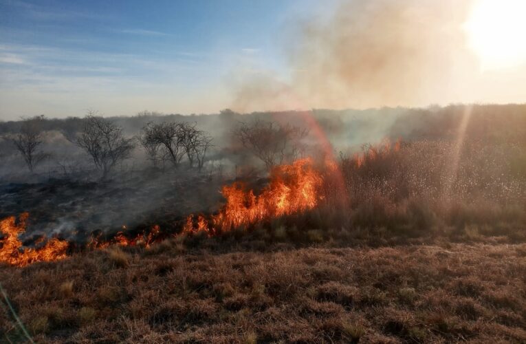 Bomberos sofocaron varios incendios de malezas durante el fin de semana en distintos puntos de San Luis